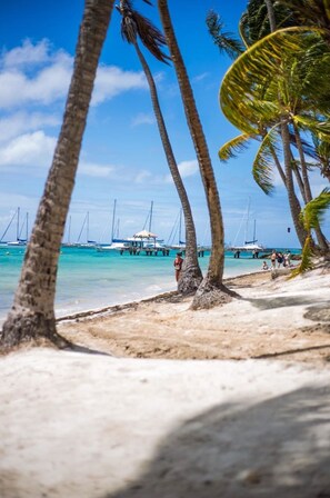 A beach with palm trees, clear blue water, and sailboats.