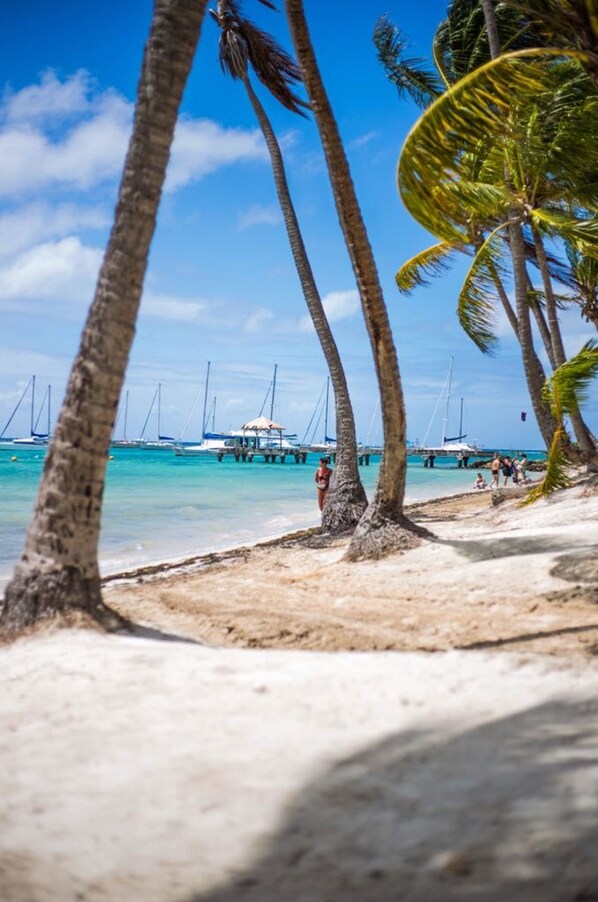 Una spiaggia nelle vicinanze