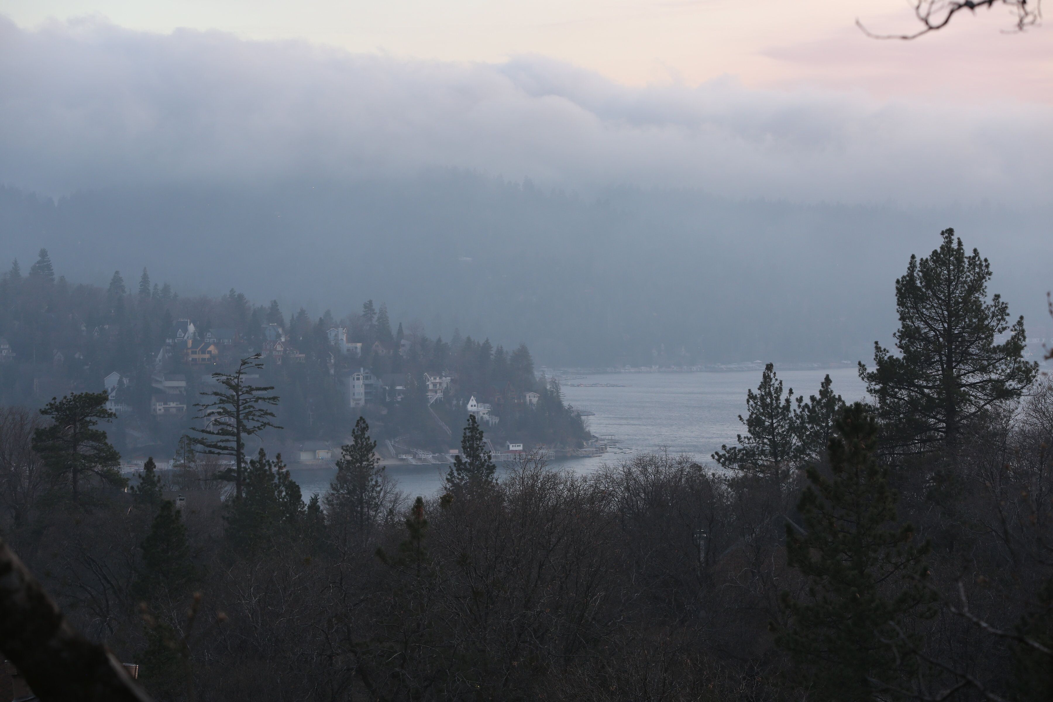 A coastal town with dense forest in the foreground and a misty backdrop.