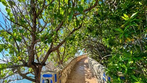 A stone pathway with blue geometric patterns, surrounded by lush green foliage and leading to a body of water.