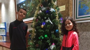 Un árbol de Navidad adornado con adornos y luces, una cerca de piquetes blancos y un mapa en la pared.