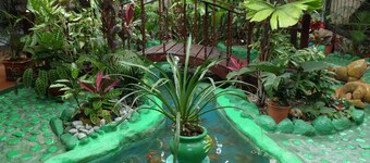 Casa Lima B&B Deluxe Room No. 2