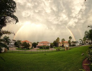 Property grounds - Tampa Private Cool Studio - 5 minutes to Downtown Tampa (Tampa)