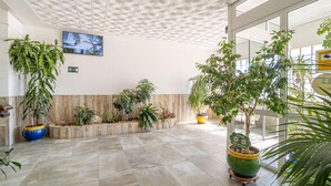 Tilava aula, jossa on korkea katto, suuret ikkunat ja useita ruukkukasveja.