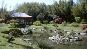 A traditional Japanese-style pavilion with a pond, surrounded by well-maintained gardens and trees.