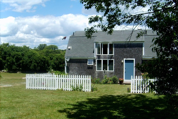 Spacious classic house surrounded by lawns, trees and a garden