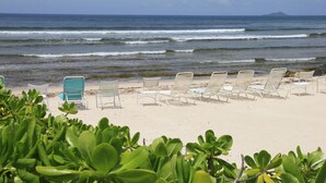 A beach with rows of sun loungers and a clear view of the ocean.