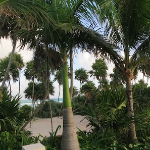 Liegestühle, Strandtücher