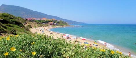 Playa