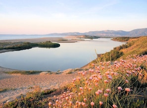 A coastal landscape with a calm lake, sandy beach, and a field of pink flowers.