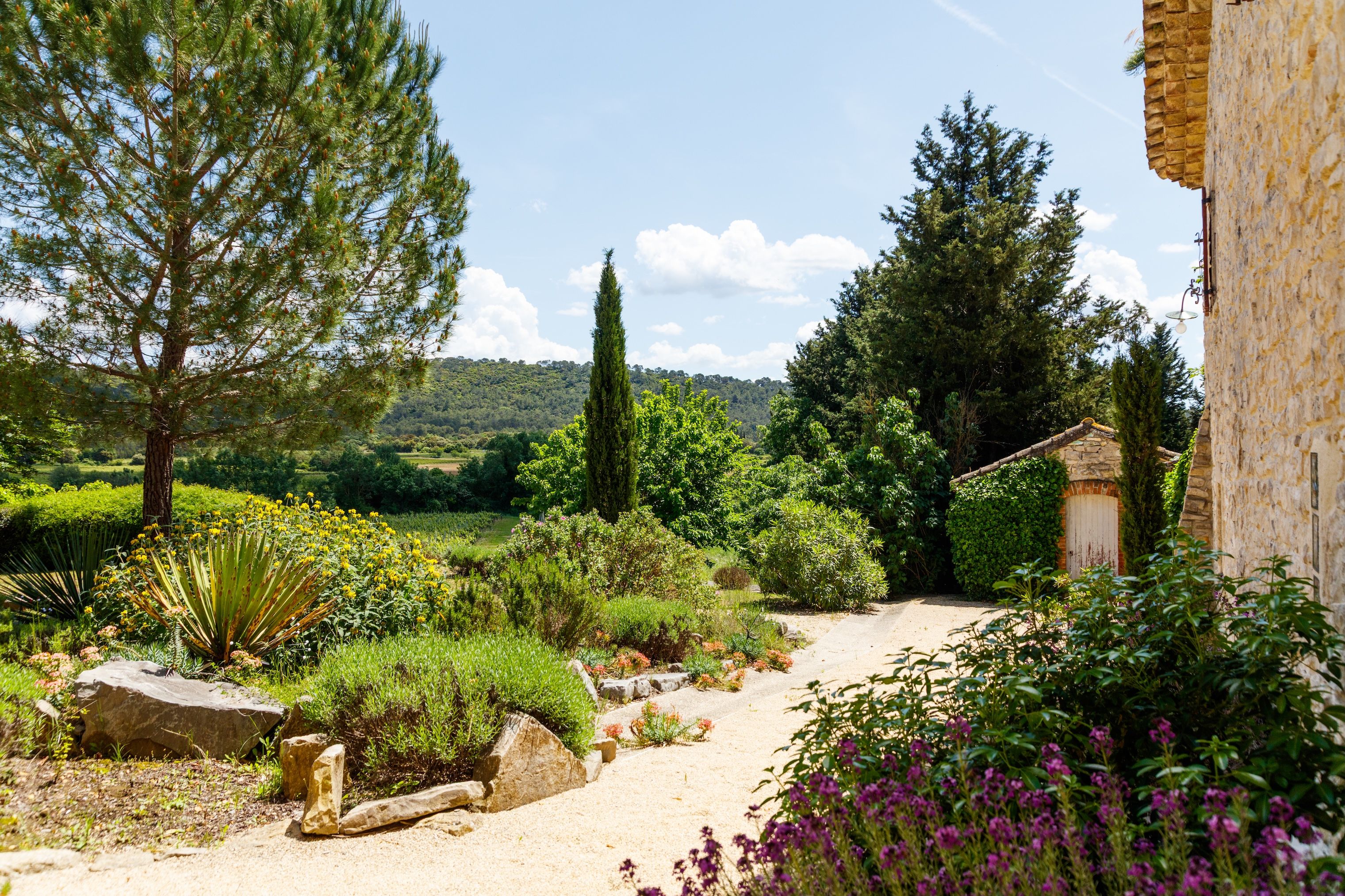 A garden pathway with various plants and trees, leading to a stone building with a rustic appearance.