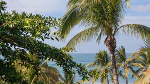 Escena de playa tropical con palmeras y el océano.