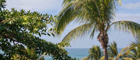 Sur la plage, chaise longue, serviettes de plage