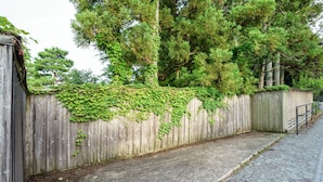 A paved pathway alongside a wooden fence with climbing plants.