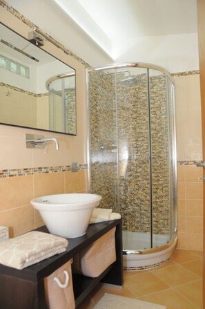 Shower, hair dryer, bidet, towels