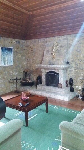 Télévision, cheminée, livres