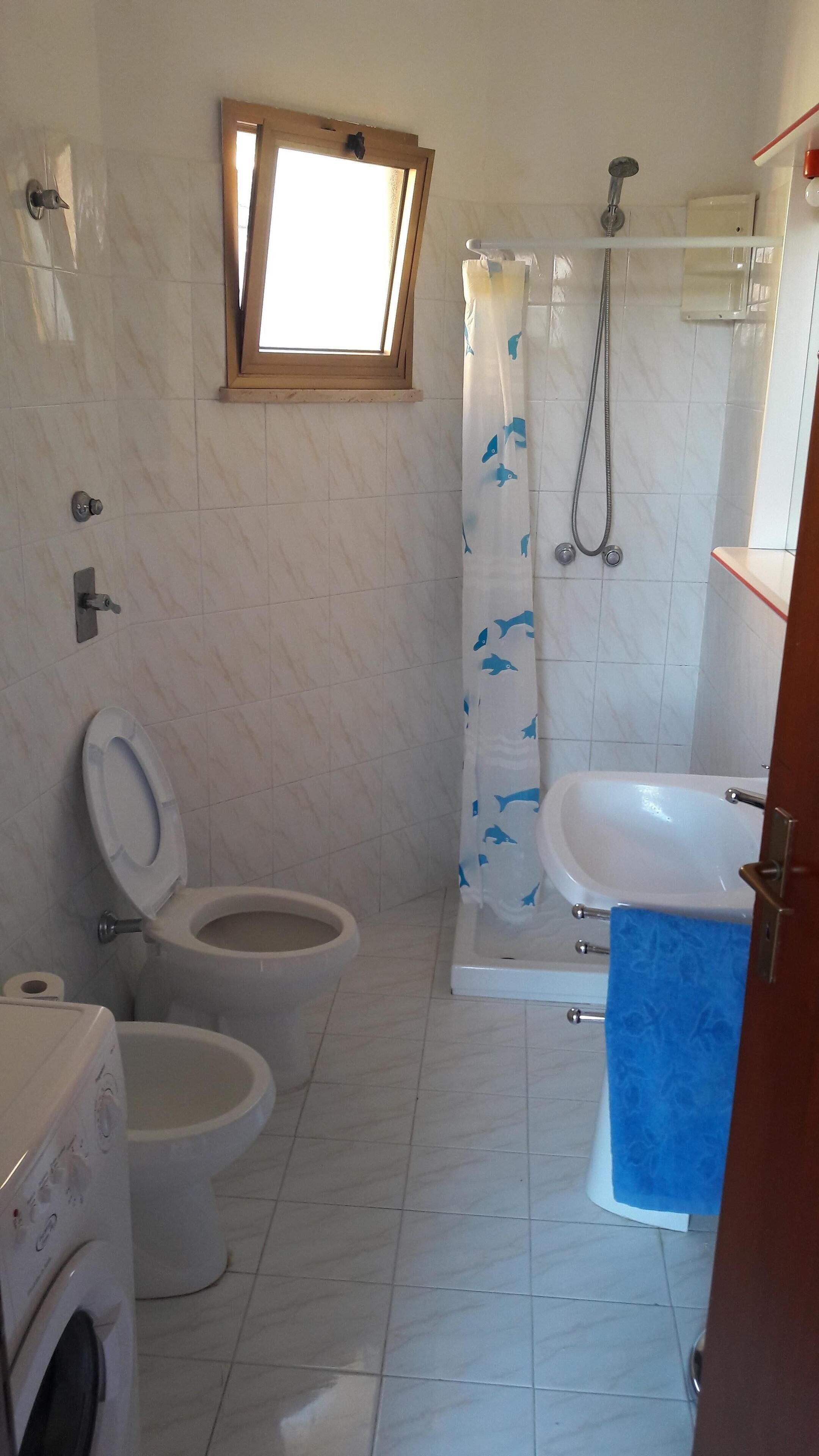 Shower, hair dryer, bidet, towels