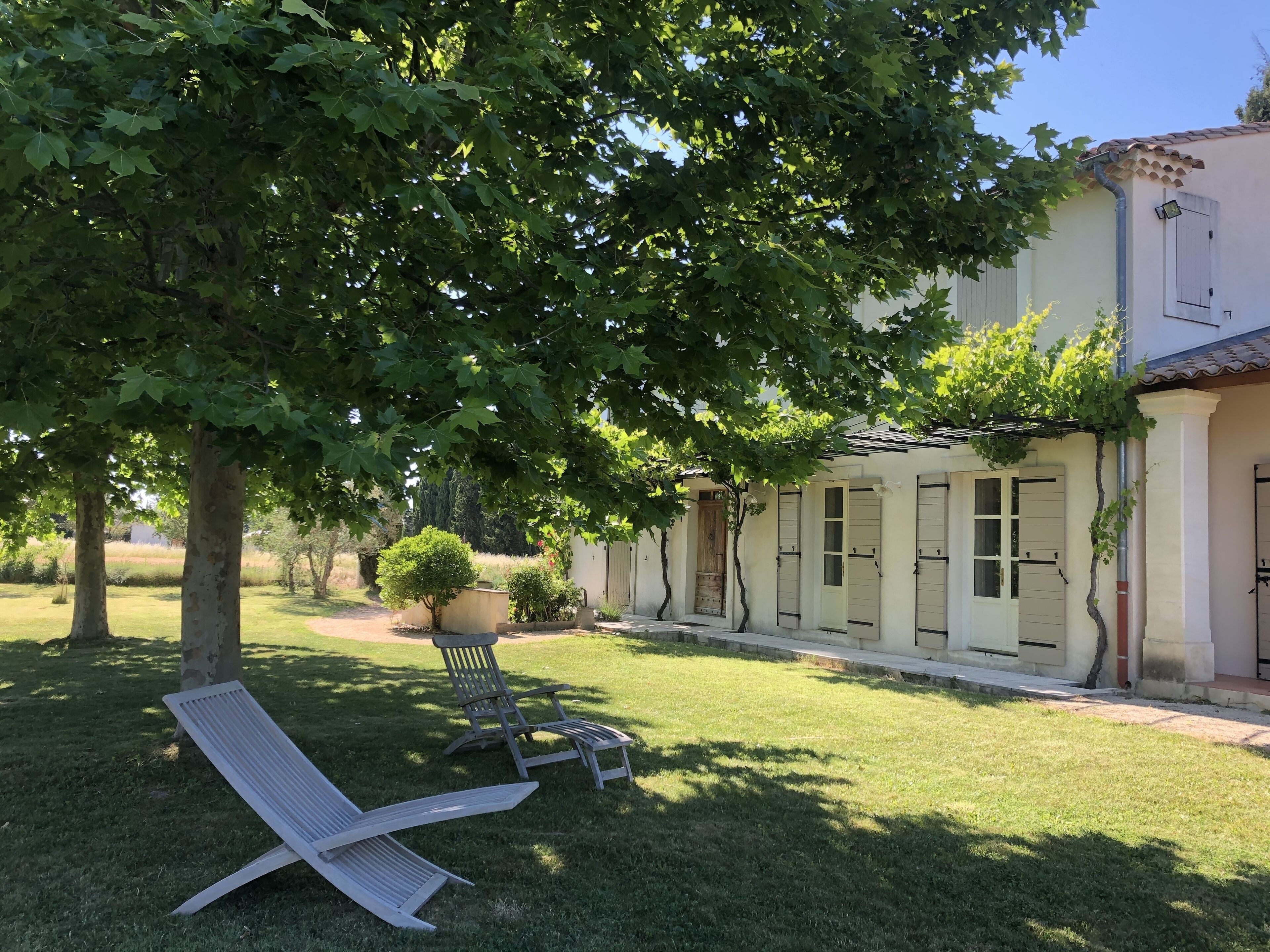 Sieste sous les platanes 
