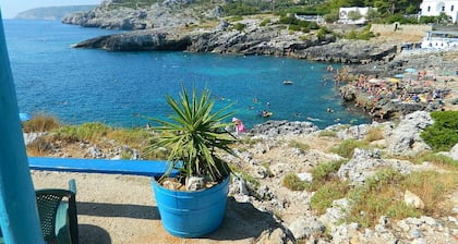 Cisto- Raikas ja valoisa huoneisto 350 metrin päässä merestä