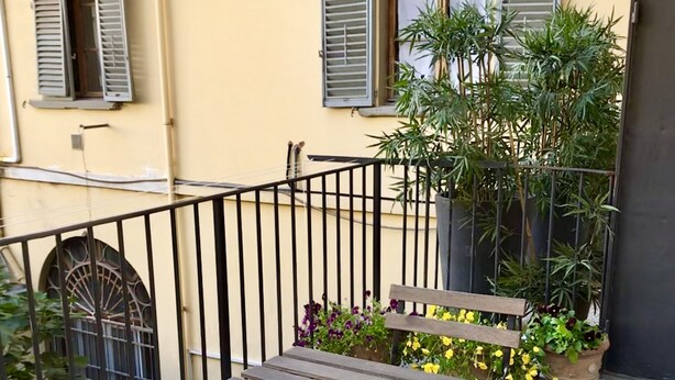 A balcony with two wooden benches and a potted plant.