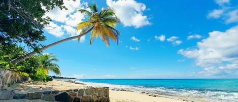 On the beach, sun loungers, beach towels