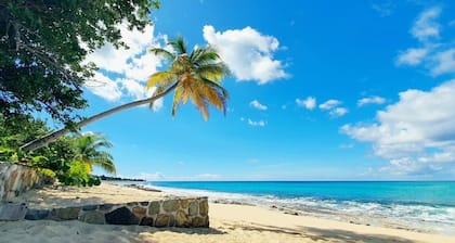 SXM Luxury Beachfront Condo On The Beach sea view Tropical Garden Pools Tennis