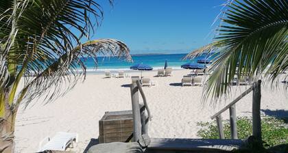 SXM Luxury Beachfront Condo On The Beach sea view Tropical Garden Pools Tennis