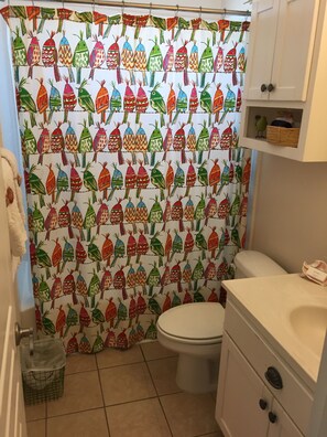 Combined shower/bathtub, hair dryer, towels, soap