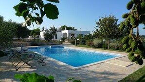 Una piscina con sillas de descanso, rodeada de vegetación y un edificio blanco con cúpulas al fondo.