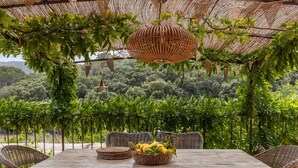 An outdoor dining area with wicker furniture and a table set with fruits, surrounded by lush greenery and a view of vineyards.