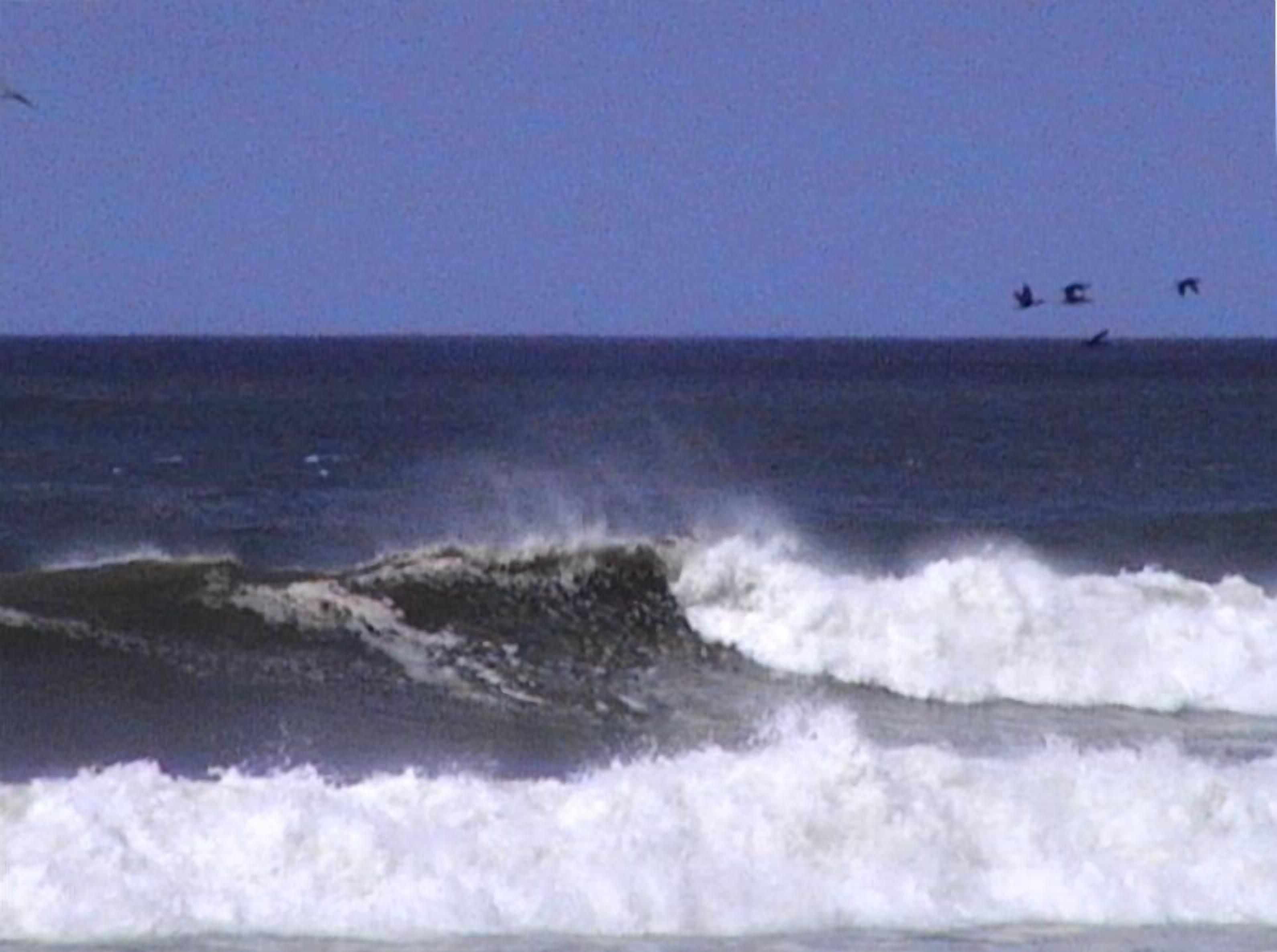 A beautiful day at the Cove!  PICTURE TAKEN FROM LIVING ROOM