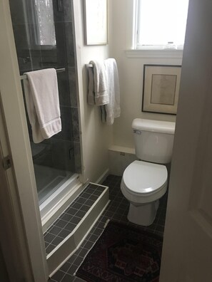 Combined shower/bathtub, hair dryer, towels, soap