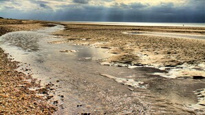 A beach with a curved water channel and a distant view of the sea under a cloudy sky. - Saltmarshes, Holme-next-the-Sea, Norfolk (Holme-next-the-Sea)