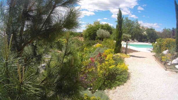 A garden with a gravel path leading to a pool area surrounded by various plants and trees.