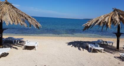 Croatia Zadar Vrsi zukve