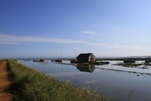 View from property - Church Cottage, Thornham, Norfolk (Hunstanton)