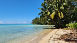 A beach with clear turquoise water, sandy shore, and palm trees.