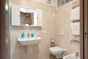 Shower, hair dryer, bidet, towels