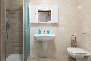 Shower, hair dryer, bidet, towels