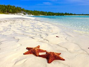 En la playa, camastros y toallas de playa 