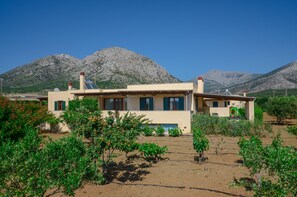 A two-story house with a flat roof, surrounded by a garden with various plants and a mountain in the background.