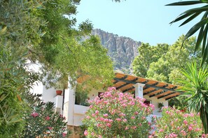 Property grounds - Rural Houses Los Algarrobales- Romantic House (Ronda)