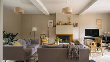 TV, fireplace, books