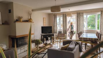 TV, fireplace, books