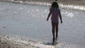 Une personne se promène sur une plage de sable, avec l’eau et des reliefs terrestres visibles au loin.