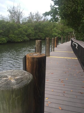 Guests can enjoy a serene waterfront experience from this dock surrounded by lush greenery and trees.