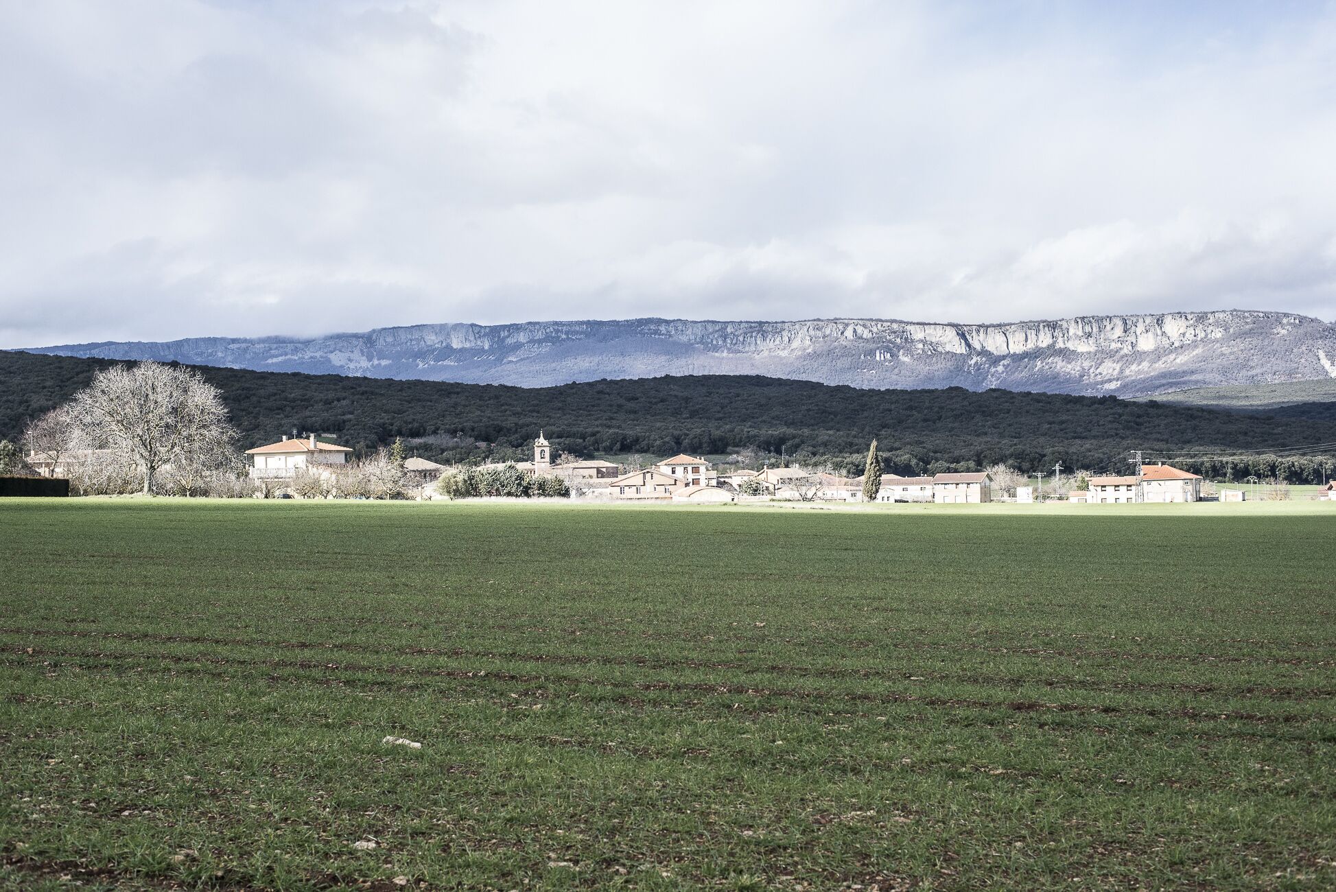 Un paysage rural avec un champ, des bâtiments et une chaîne de montagnes en arrière-plan.