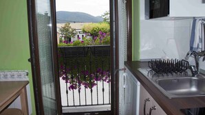 Une cuisine équipée d’un évier, d’un égouttoir et offrant une vue sur un balcon orné de fleurs violettes, avec un bâtiment en arrière-plan.
