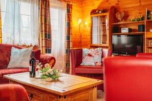 Een televisie, een dvd-speler, boeken en een stereo