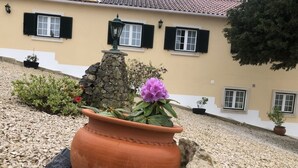 Un pot en terre cuite orné d’une fleur violette, placé devant une maison dont le toit est recouvert de tuiles et les murs sont blancs.